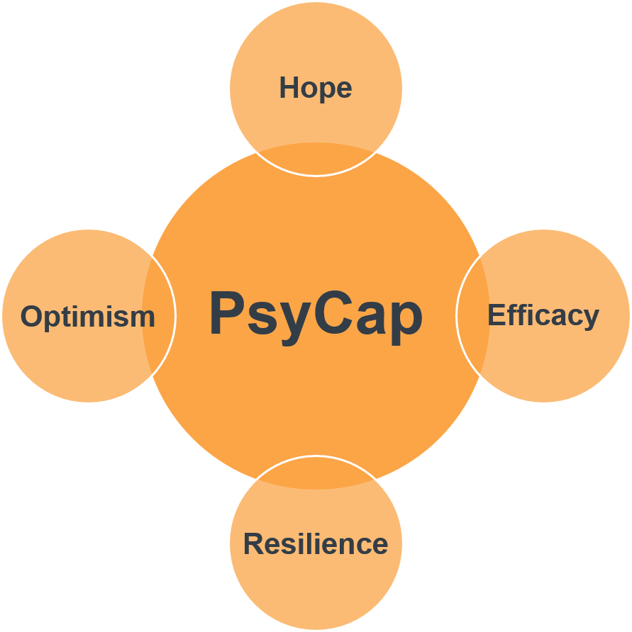 PsyCap scales: Hope, Efficacy, Resilience, and Optimism